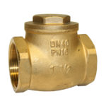 Swing Check Valve