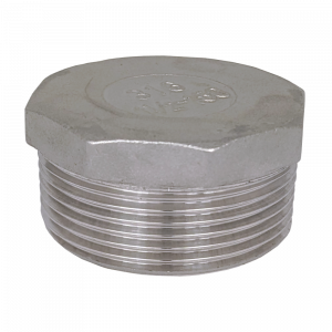 Stainless Steel Threaded Plug